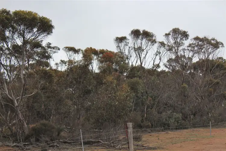 Fourth view of Homely rural property listing, . Challis Road, Pingrup WA 6343