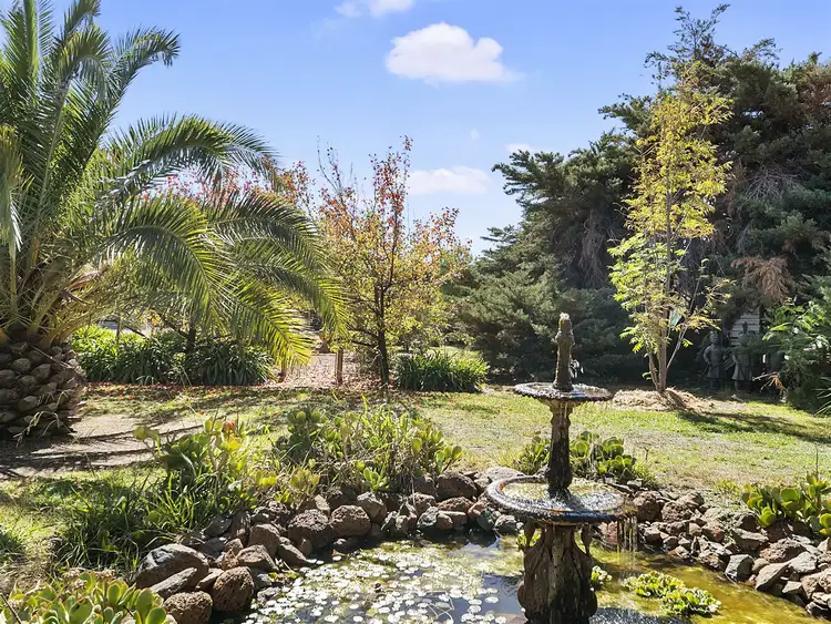 Sixth view of Homely rural property listing, 315 Pine Lodge North Road, Pine Lodge VIC 3631