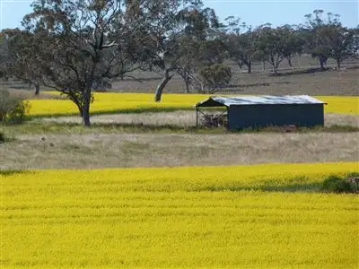 Fourth view of Homely rural property listing, . "The Racecourse" Racecourse Rd, Borambil via, Cassilis NSW 2329