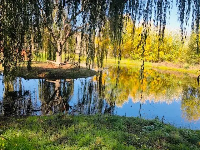 Fourth view of Homely house listing, 46 Fletcher Rd, Hester Brook WA 6255