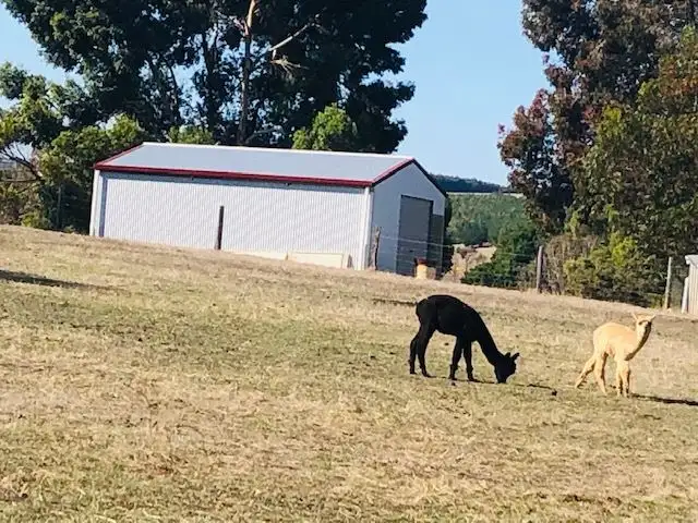 Sixth view of Homely house listing, 46 Fletcher Rd, Hester Brook WA 6255