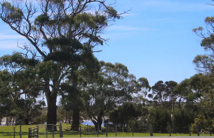 Third view of Homely house listing, 18 Edward, Bridport TAS 7262