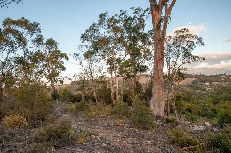 Seventh view of Homely land listing, 109 Houston Drive, Cambridge TAS 7170