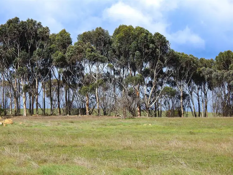 Second view of Homely rural property listing, 150 Pettit Rise, Porongurup WA 6324