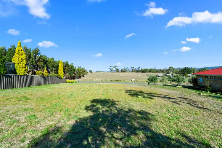 Fifth view of Homely land listing, 45 Roberts Street, Triabunna TAS 7190