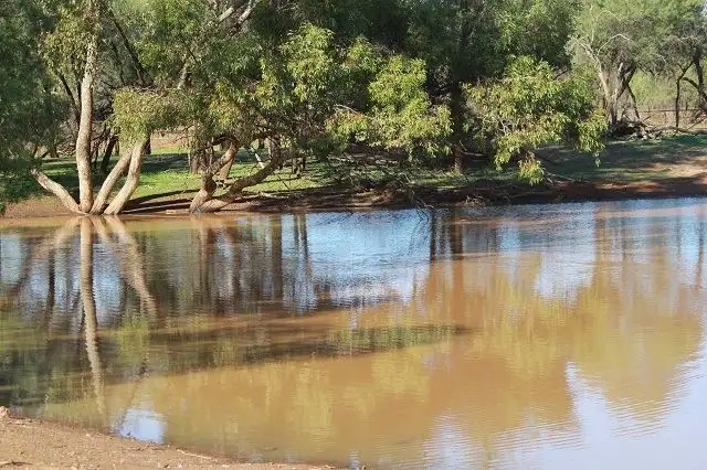 * Lily Park, Cobar NSW 2835