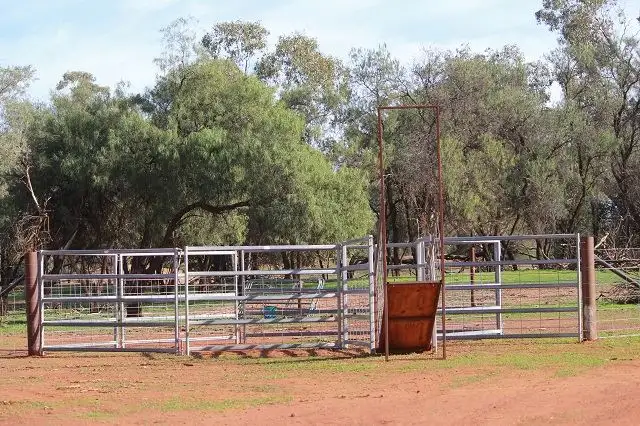 Fifth view of Homely rural property listing, * Lily Park, Cobar NSW 2835