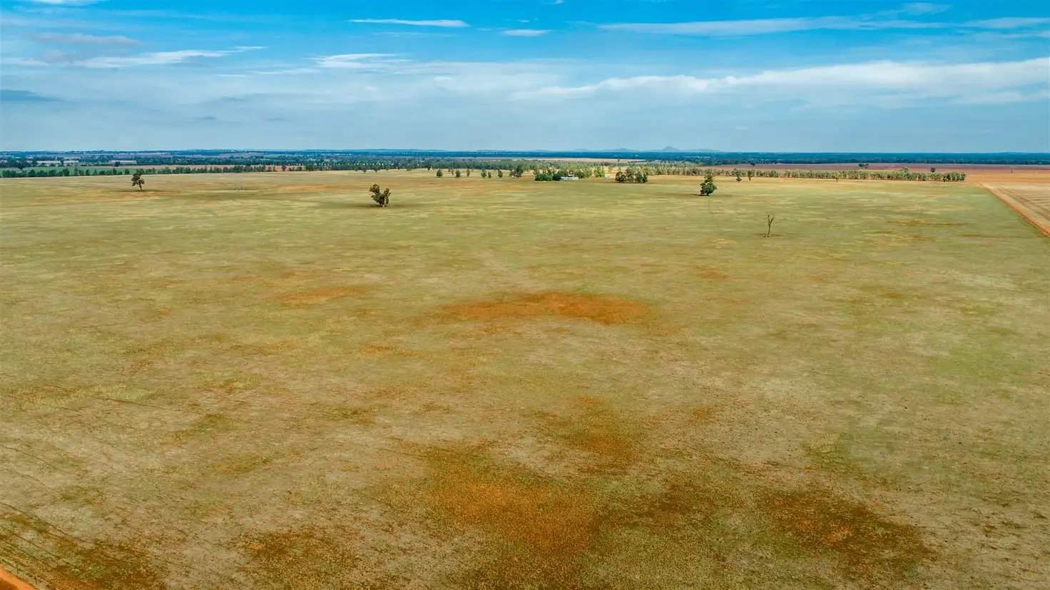 Main view of Homely rural property listing, 0 Burradowns Roping Pole Road, Ganmain NSW 2702