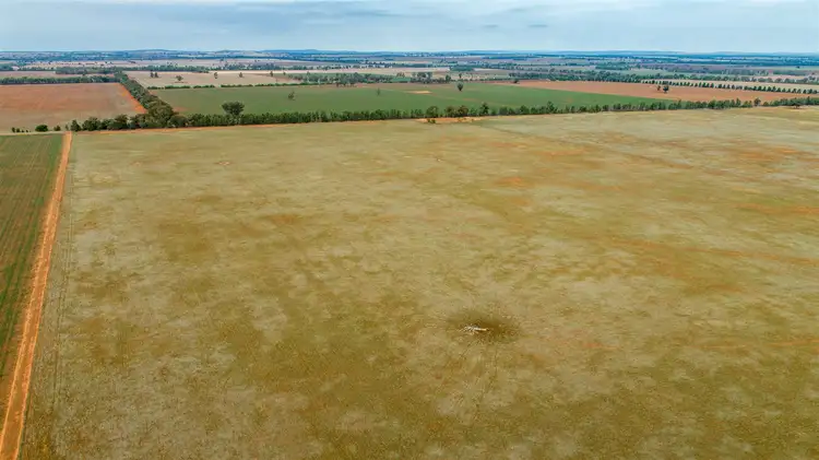 Second view of Homely rural property listing, 0 Burradowns Roping Pole Road, Ganmain NSW 2702