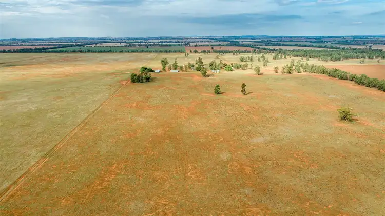 Fourth view of Homely rural property listing, 0 Burradowns Roping Pole Road, Ganmain NSW 2702