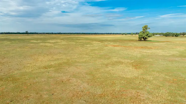 Fifth view of Homely rural property listing, 0 Burradowns Roping Pole Road, Ganmain NSW 2702