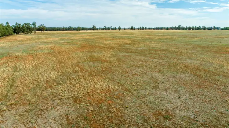 Sixth view of Homely rural property listing, 0 Burradowns Roping Pole Road, Ganmain NSW 2702