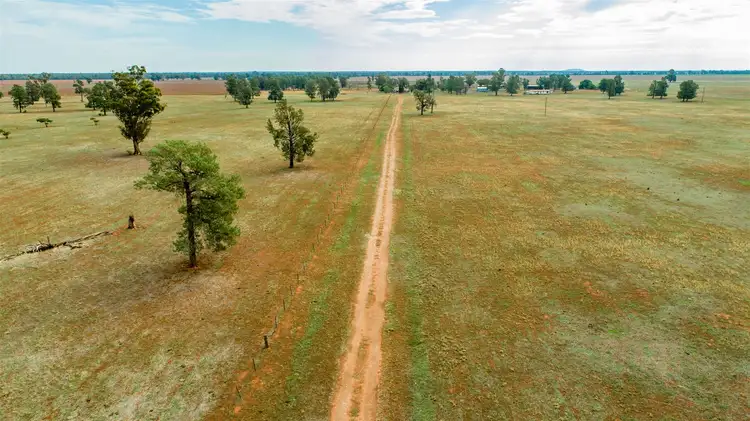 Seventh view of Homely rural property listing, 0 Burradowns Roping Pole Road, Ganmain NSW 2702