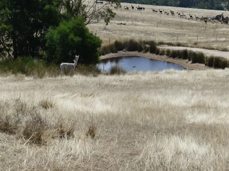 Main view of Homely rural property listing, Lot 2/571 Galls Gap Rd, Strathbogie VIC 3666