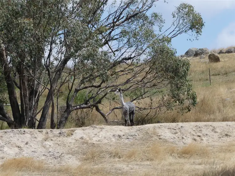 Fourth view of Homely rural property listing, Lot 2/571 Galls Gap Rd, Strathbogie VIC 3666