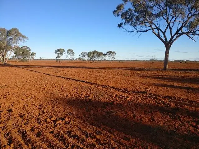 * Gilgunnia Station, Cobar NSW 2835