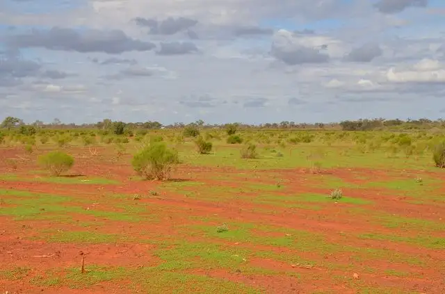 Sixth view of Homely rural property listing, * Gilgunnia Station, Cobar NSW 2835