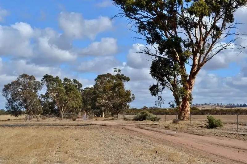 Main view of Homely rural property listing, . Yenyenning Lakes, Quairading WA 6383