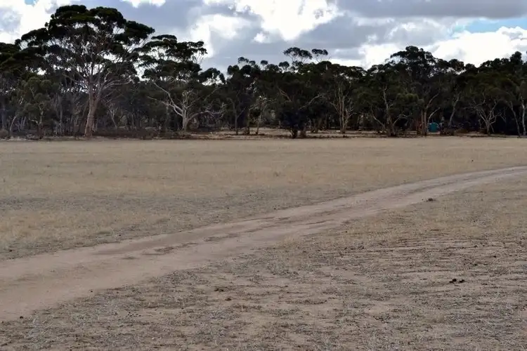 Fifth view of Homely rural property listing, . Yenyenning Lakes, Quairading WA 6383