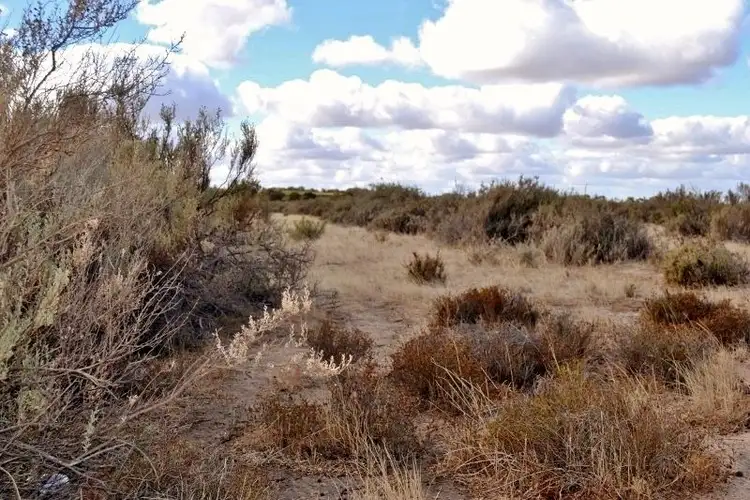 Seventh view of Homely rural property listing, . Yenyenning Lakes, Quairading WA 6383