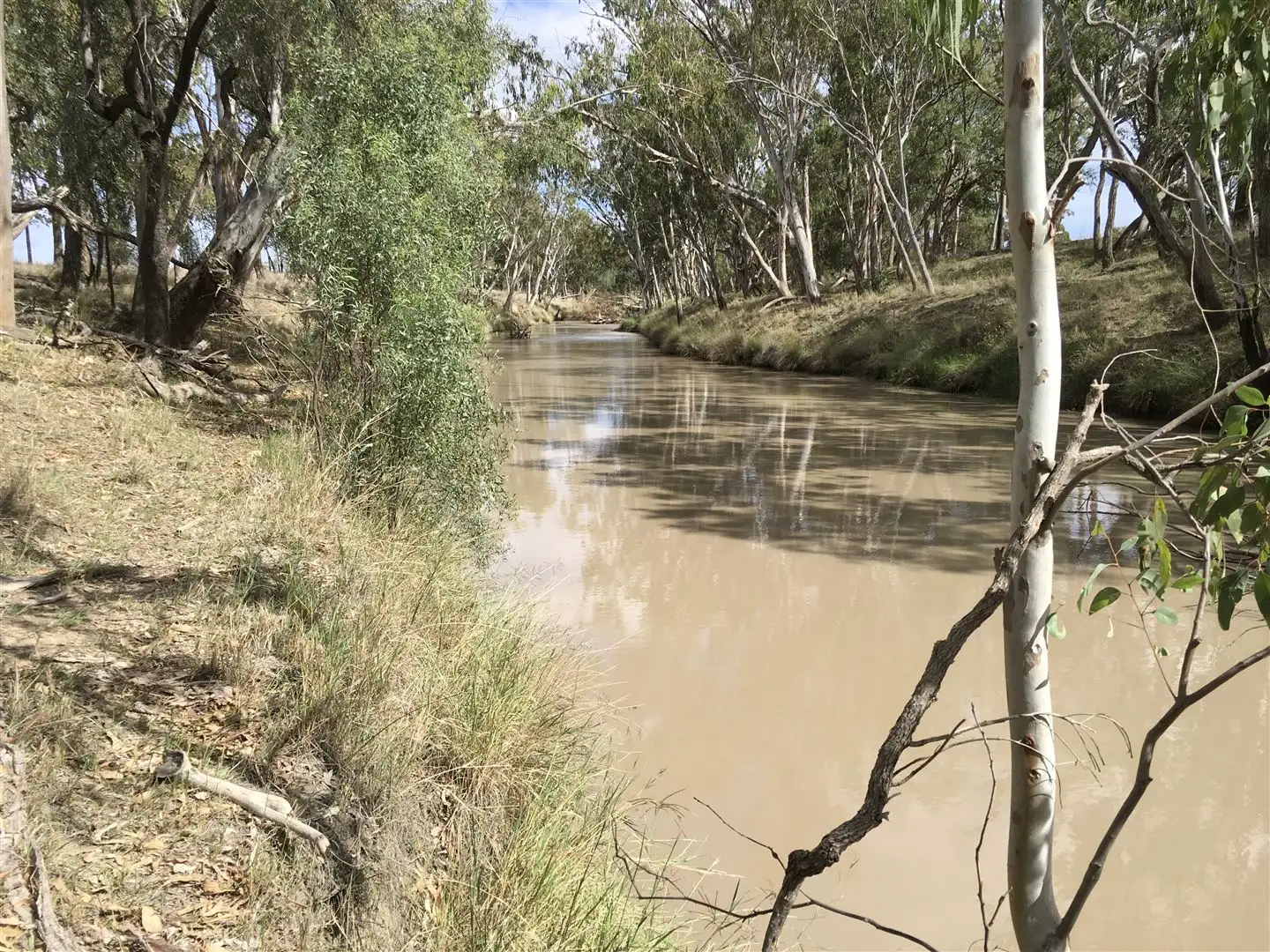 Main view of Homely rural property listing, 778 Benns Rd, Tara QLD 4421