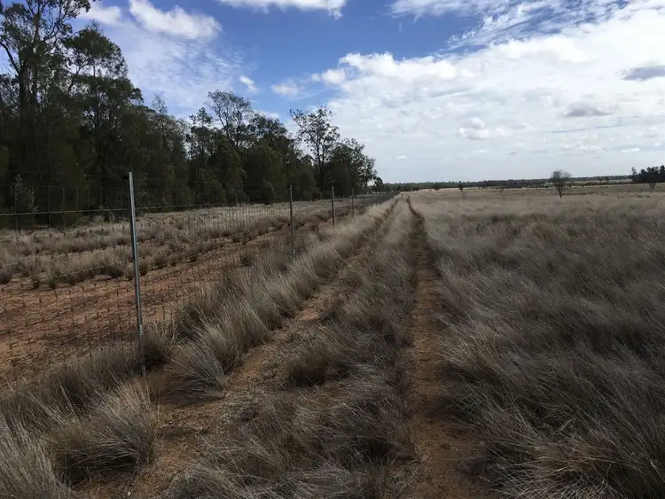 Second view of Homely rural property listing, 778 Benns Rd, Tara QLD 4421