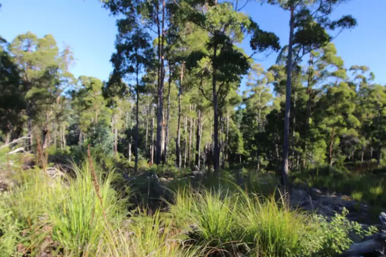 Second view of Homely land listing, 107 Carins Road, Nabowla TAS 7260