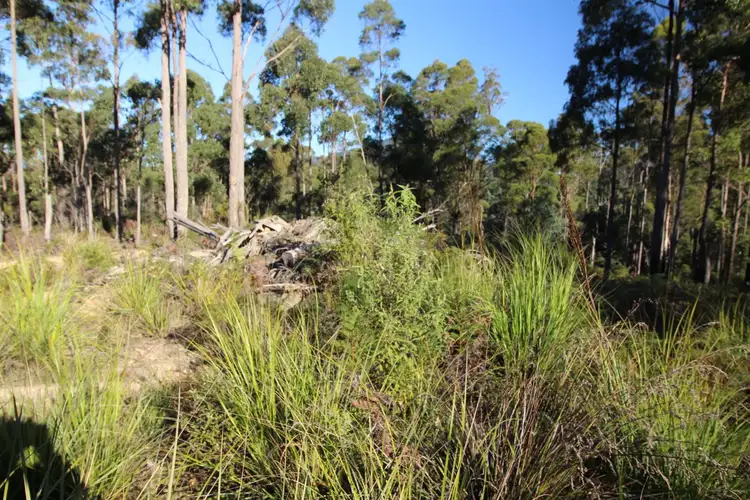 Third view of Homely land listing, 107 Carins Road, Nabowla TAS 7260