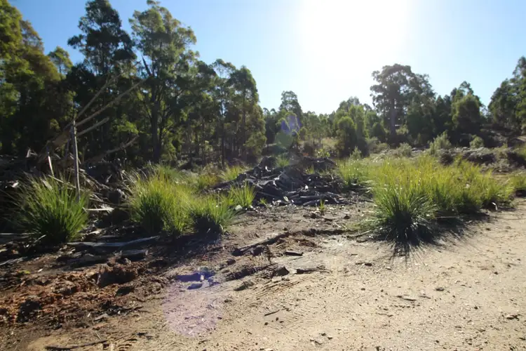Fourth view of Homely land listing, 107 Carins Road, Nabowla TAS 7260