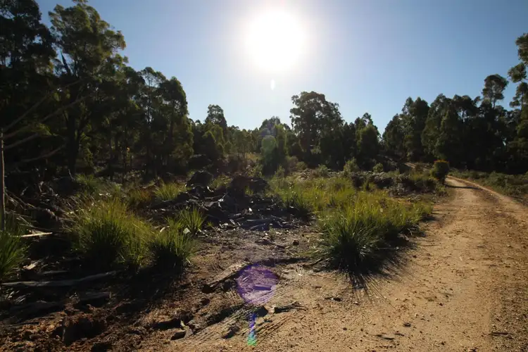Fifth view of Homely land listing, 107 Carins Road, Nabowla TAS 7260