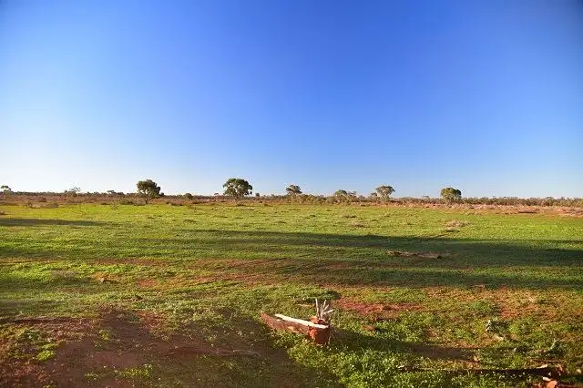 Main view of Homely rural property listing, * Yanda Downs, Cobar NSW 2835