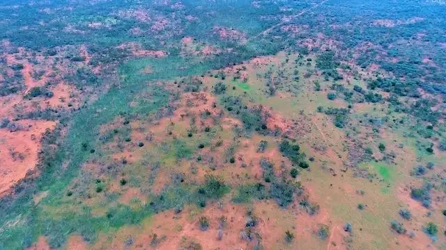 Second view of Homely rural property listing, * Yanda Downs, Cobar NSW 2835