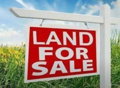Main view of Homely land listing, 24 Coulls St, Freeling SA 5372
