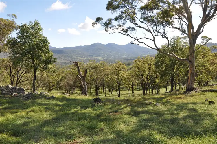 Seventh view of Homely rural property listing, 1032 Mount Erin Rd, 'Russells', Merriwa NSW 2329