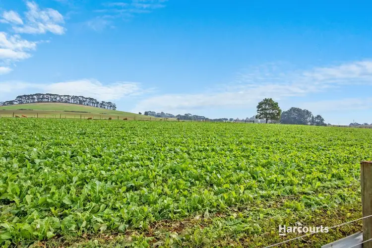 Fifth view of Homely rural property listing, 78 Deviation Road, Penguin TAS 7316