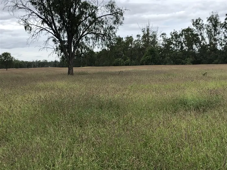 MONASH/0 Barlows Road, Comet QLD 4702