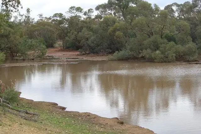Main view of Homely rural property listing, * Ophir, Cobar NSW 2835