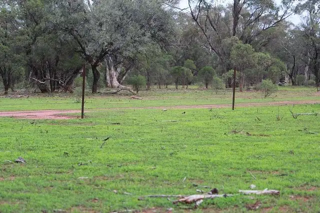 Second view of Homely rural property listing, * Ophir, Cobar NSW 2835