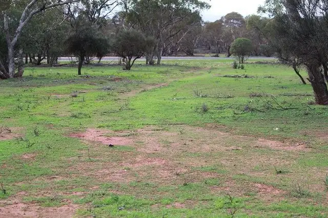 Third view of Homely rural property listing, * Ophir, Cobar NSW 2835