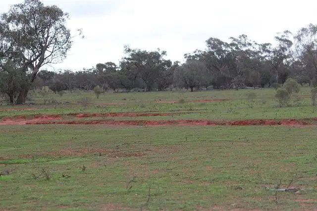 Fifth view of Homely rural property listing, * Ophir, Cobar NSW 2835