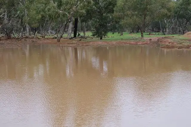 Seventh view of Homely rural property listing, * Ophir, Cobar NSW 2835