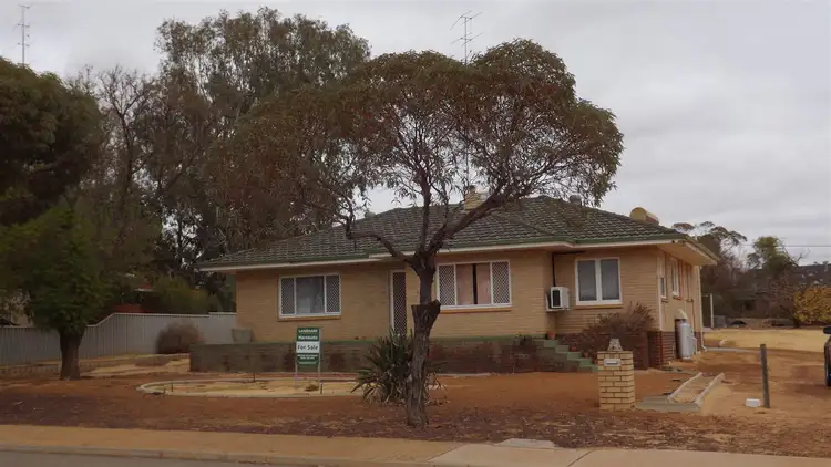 Main view of Homely house listing, 111 McLennan Street, Quairading WA 6383