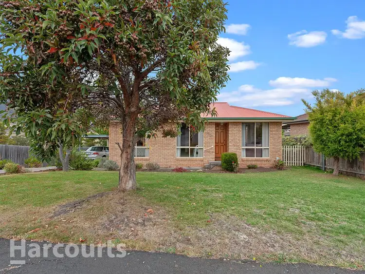 52 Seddon Street
