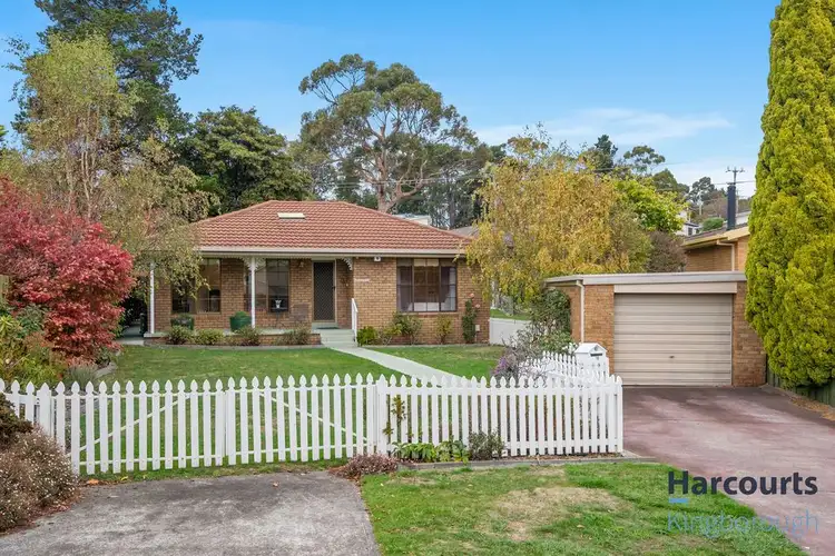 Main view of Homely house listing, 19 Alex Court, Kingston Beach TAS 7050