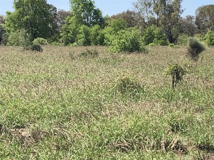 Seventh view of Homely rural property listing, Address available on request