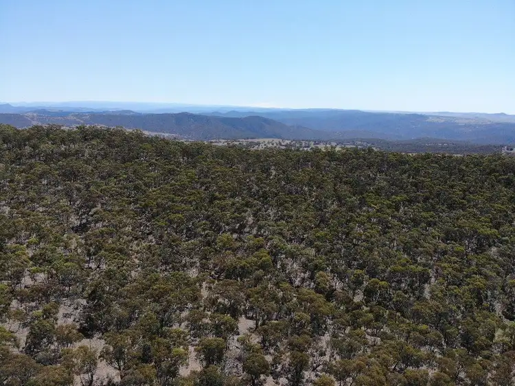 Second view of Homely rural property listing, Lot 91 Corrowong rd, Delegate NSW 2633