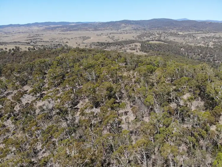 Third view of Homely rural property listing, Lot 91 Corrowong rd, Delegate NSW 2633