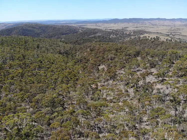 Fourth view of Homely rural property listing, Lot 91 Corrowong rd, Delegate NSW 2633