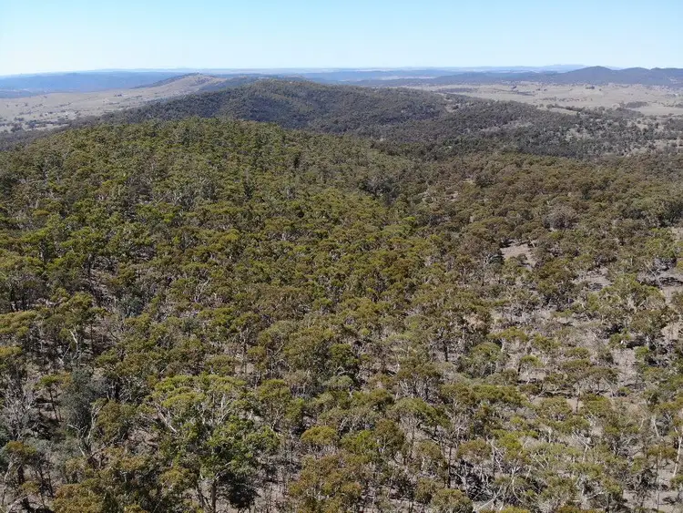 Fifth view of Homely rural property listing, Lot 91 Corrowong rd, Delegate NSW 2633