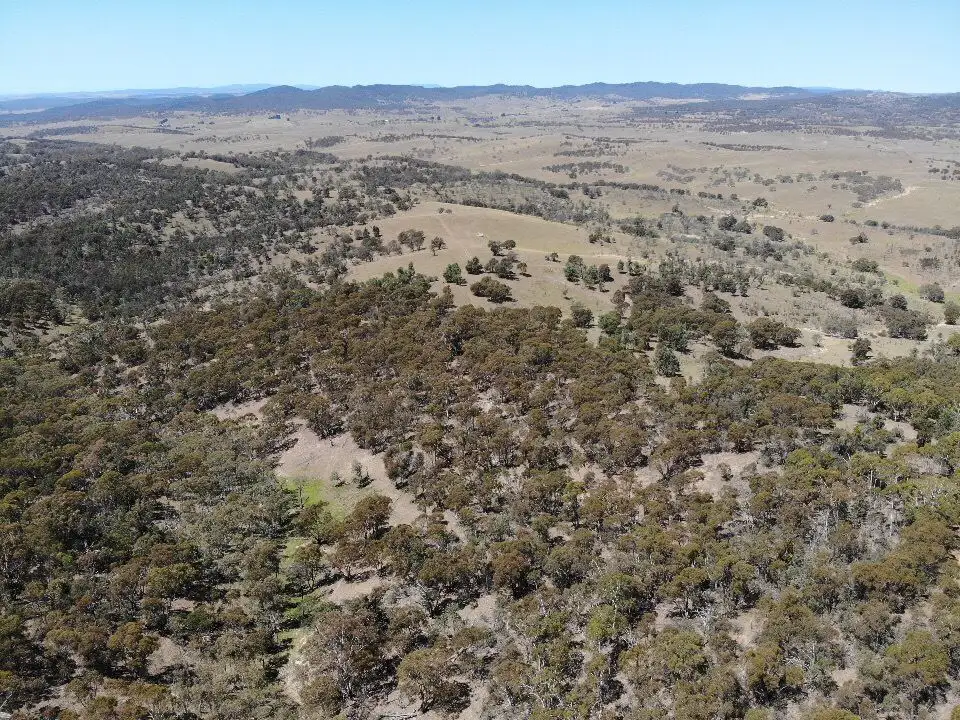 Main view of Homely rural property listing, Lots/67 & 74 Corrowong, Delegate NSW 2633